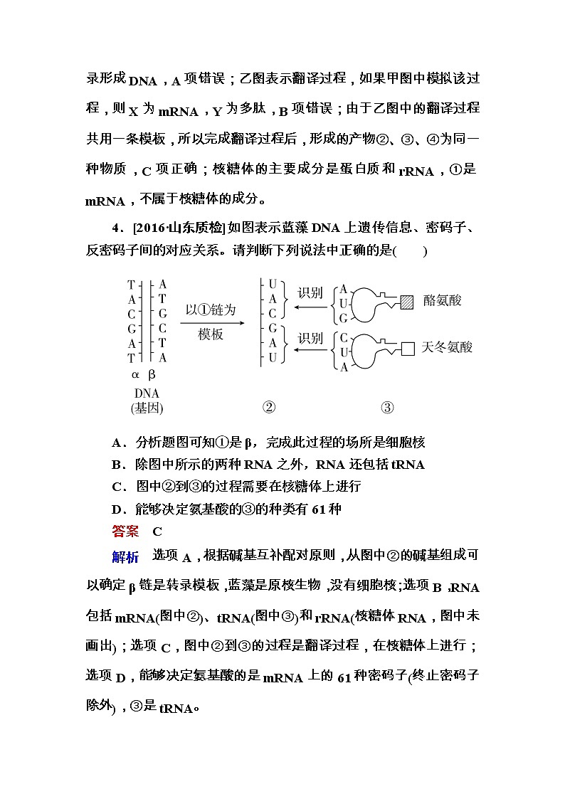 高考生物一轮复习特训：20基因的表达 Word版含解析 试卷03