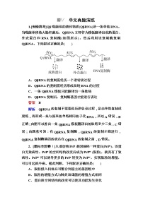 高考生物一轮复习特训：阶段性总结课6 遗传的物质基础 Word版含解析