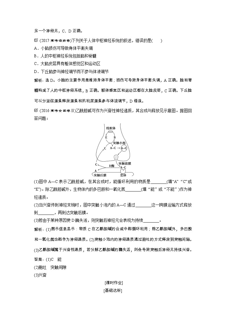 高考生物一轮复习方案练习：第8单元 随堂真题演练26通过神经系统的调节 （含详解）第2页