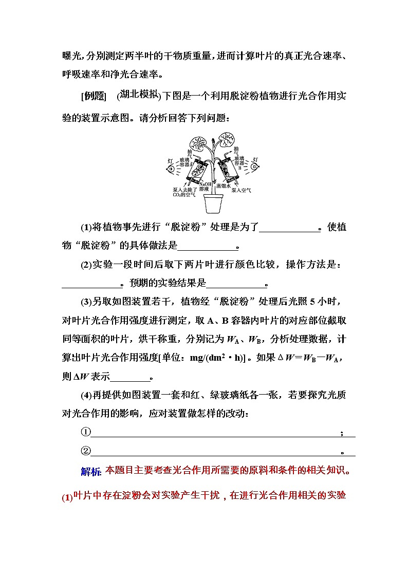 高考生物一轮复习练习：专项突破《光合作用的相关实验》（含详解）第2页