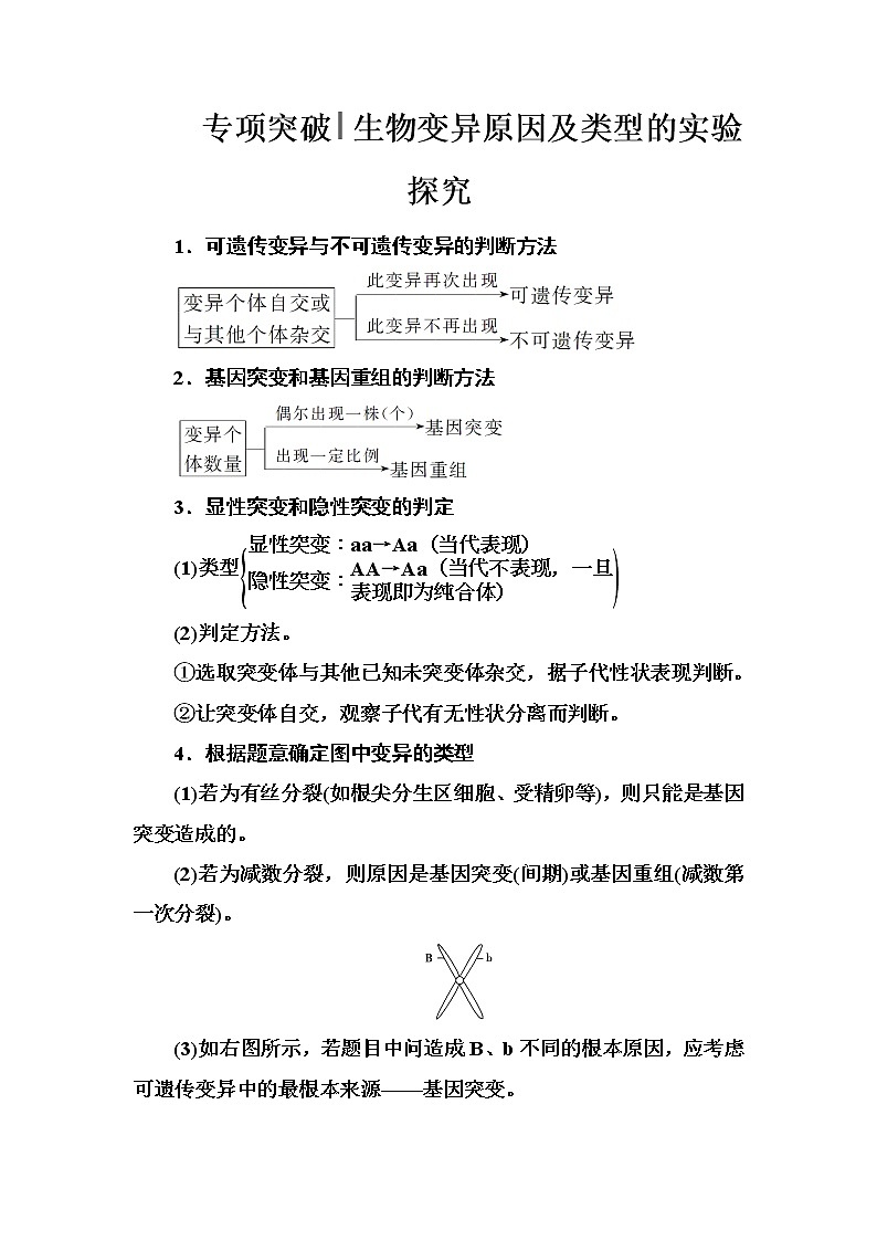 高考生物一轮复习练习：专项突破《生物变异原因及类型的实验探究》（含详解）第1页