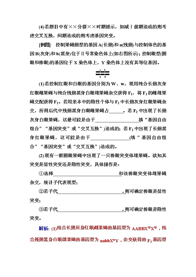 高考生物一轮复习练习：专项突破《生物变异原因及类型的实验探究》（含详解）第2页