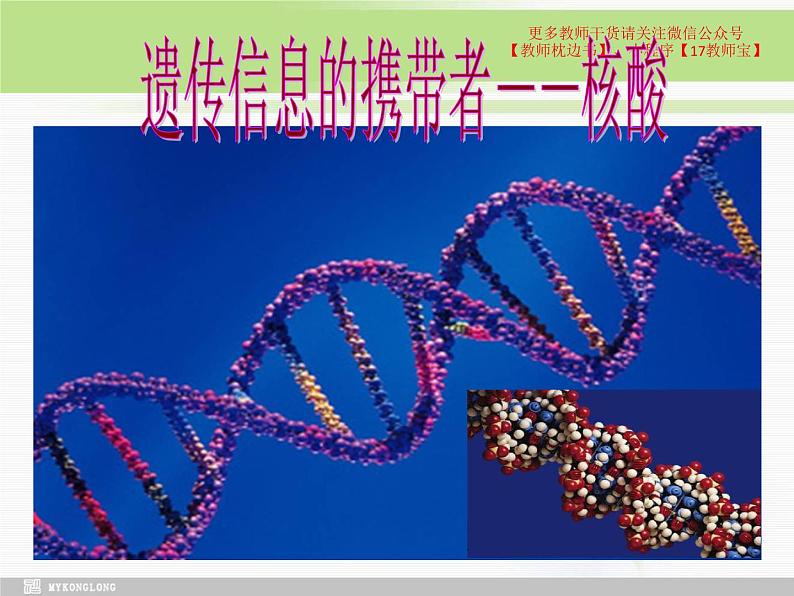 必修1 2.5 核酸是遗传信息的携带者课件PPT第3页