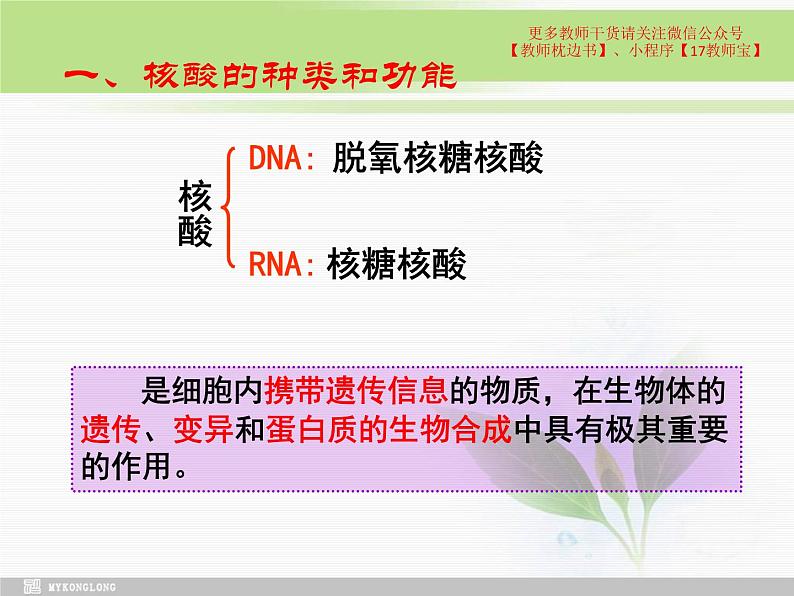 必修1 2.5 核酸是遗传信息的携带者课件PPT第4页