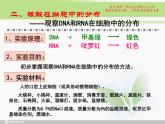 必修1 2.5 核酸是遗传信息的携带者课件PPT