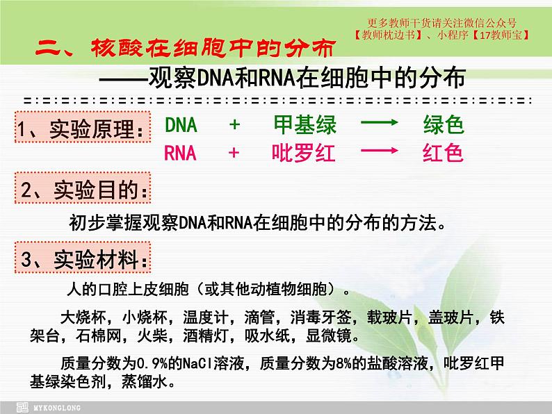 必修1 2.5 核酸是遗传信息的携带者课件PPT第5页