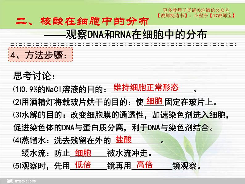 必修1 2.5 核酸是遗传信息的携带者课件PPT第6页