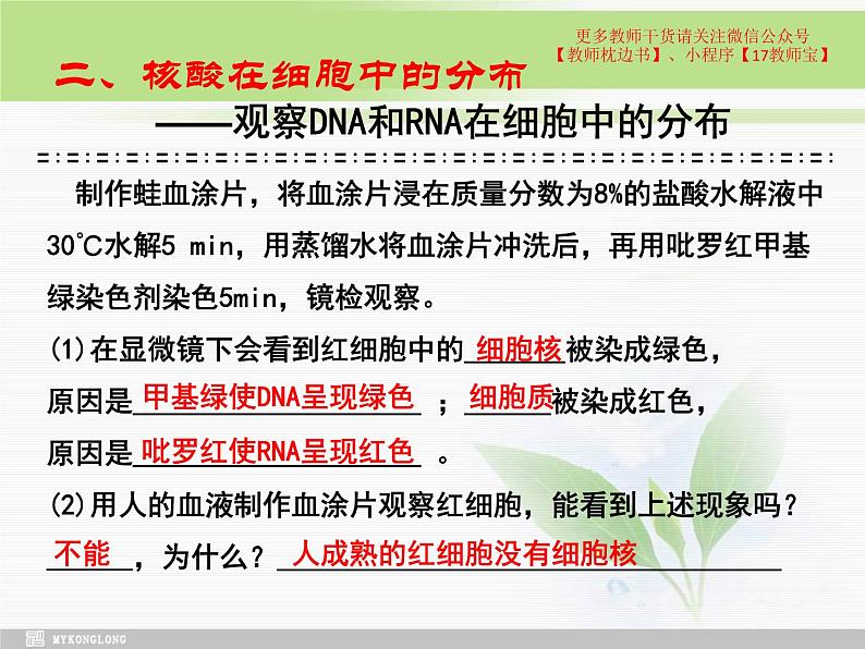 必修1 2.5 核酸是遗传信息的携带者课件PPT第8页