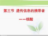 必修1 第2章 第5节 核酸是遗传信息的携带者课件PPT