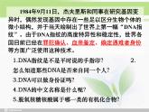必修1 第2章 第5节 核酸是遗传信息的携带者课件PPT