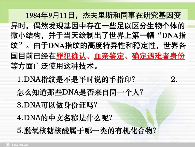 必修1 第2章 第5节 核酸是遗传信息的携带者课件PPT第2页