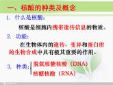必修1 第2章 第5节 核酸是遗传信息的携带者课件PPT