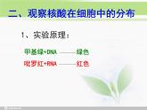 必修1 第2章 第5节 核酸是遗传信息的携带者课件PPT