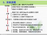 必修1 第2章 第5节 核酸是遗传信息的携带者课件PPT