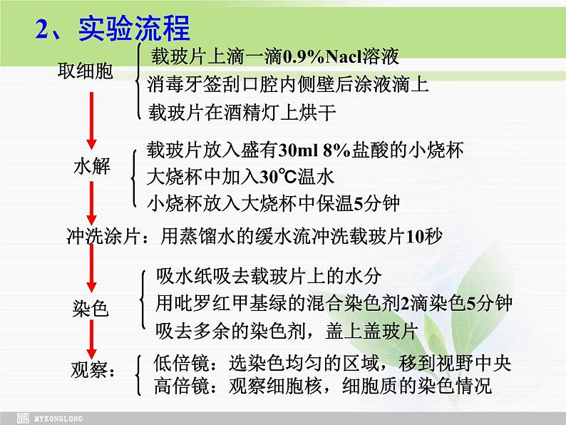 必修1 第2章 第5节 核酸是遗传信息的携带者课件PPT第5页