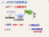 必修1 第5章 第2节细胞的能量“货币”ATP课件PPT