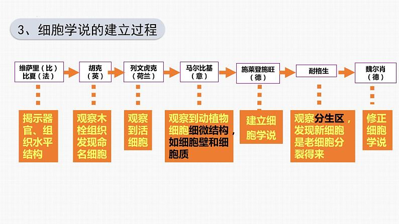 1.1细胞是生命活动的基本单位课件（23张PPT）第5页