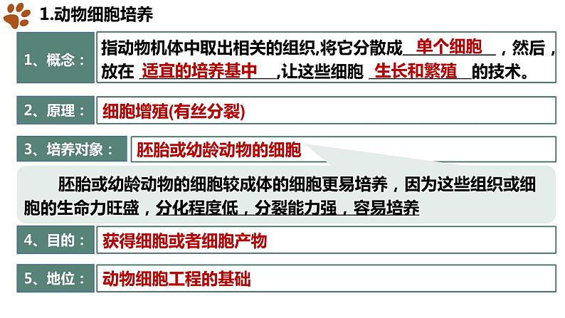 2.2.1 动物细胞培养课件（29张PPT）03