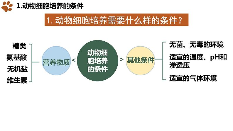 2.2.1 动物细胞培养课件（29张PPT）04