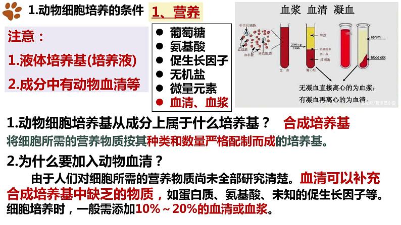 2.2.1 动物细胞培养课件（29张PPT）05