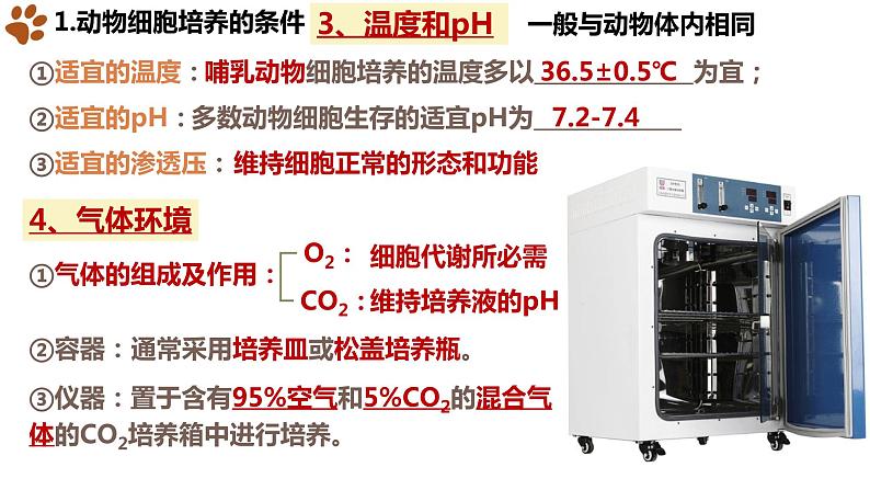 2.2.1 动物细胞培养课件（29张PPT）07