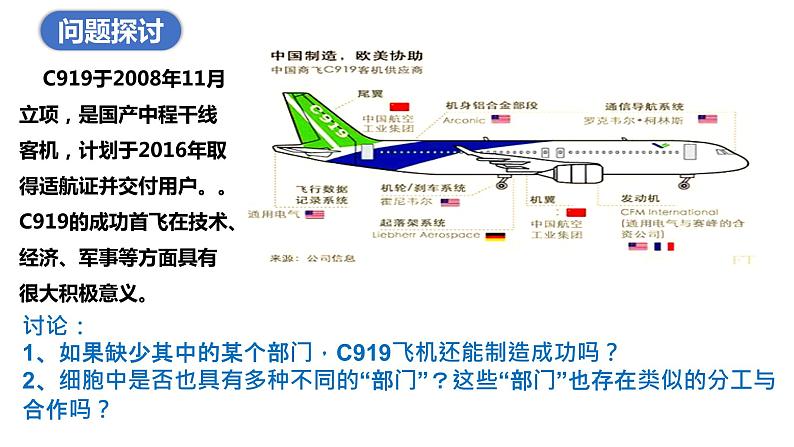 3. 2细胞器之间的分工合作课件（37张PPT）第3页