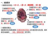 6.3 细胞的衰老和死亡课件（15张PPT）