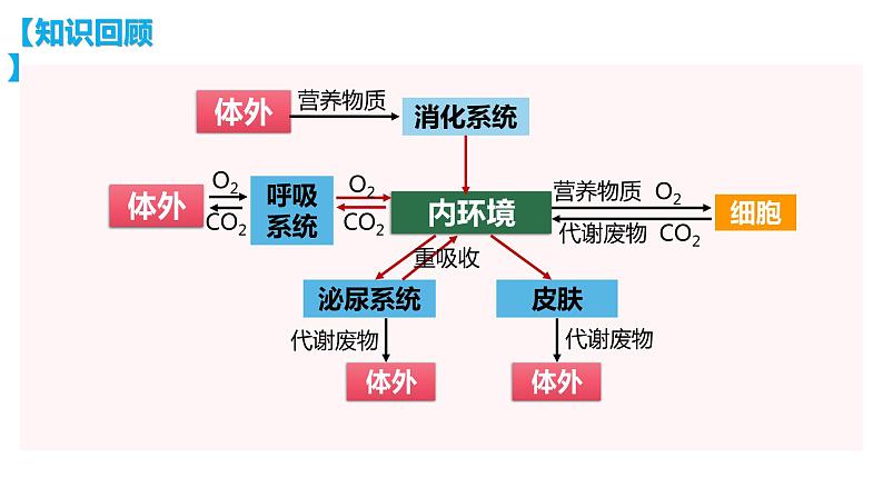 1.2 内环境的稳态课件（39张PPT）第3页