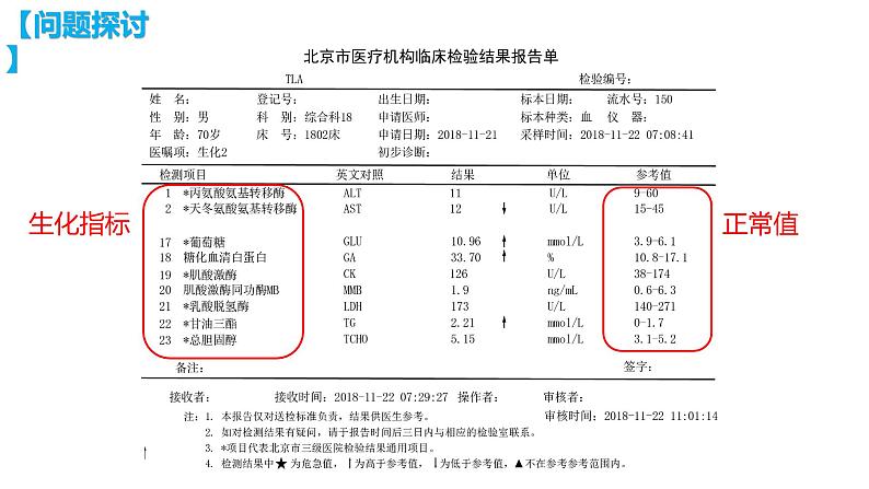 1.2 内环境的稳态课件（39张PPT）第4页