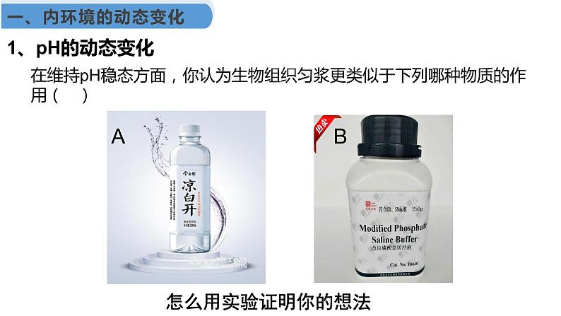1.2 内环境的稳态课件（39张PPT）第8页