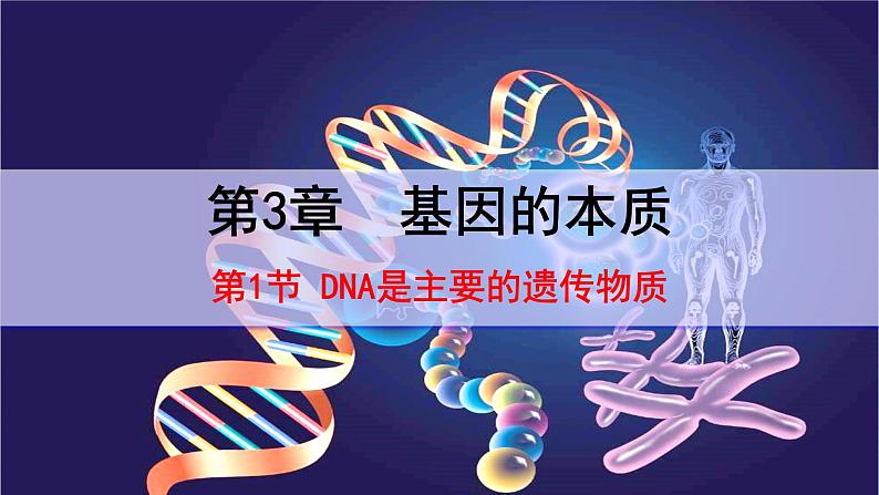 人教版必修二 《DNA是主要的遗传物质》课件PPT01