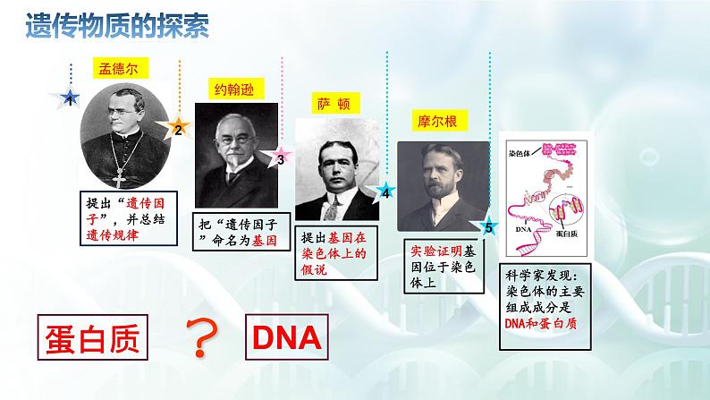 人教版必修二 《DNA是主要的遗传物质》课件PPT04