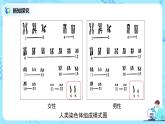 2.3《伴性遗传》课件PPT+教案