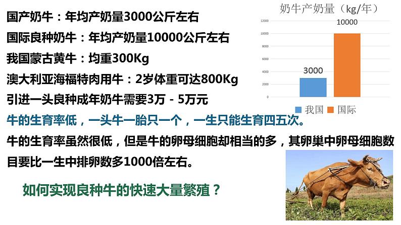 选修3 2.3.2胚胎工程技术及其应用课件（30张PPT）02