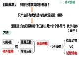 选修3 2.3.2胚胎工程技术及其应用课件（30张PPT）