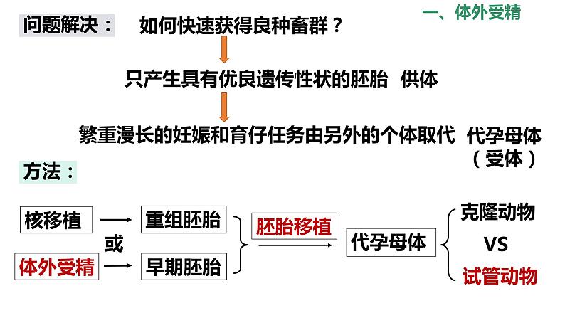 选修3 2.3.2胚胎工程技术及其应用课件（30张PPT）03