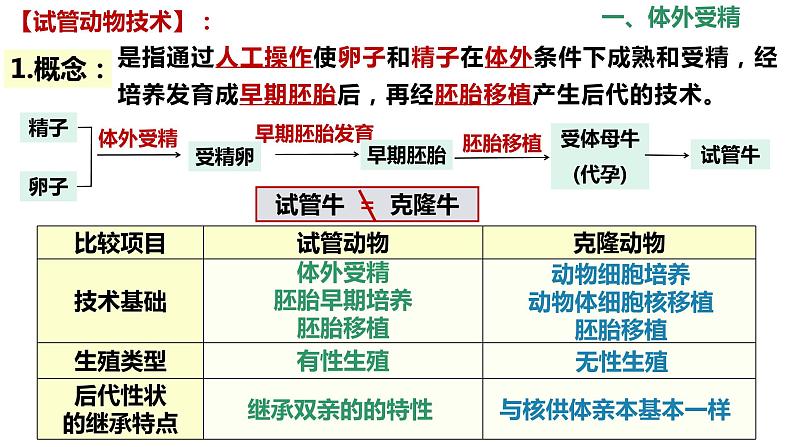 选修3 2.3.2胚胎工程技术及其应用课件（30张PPT）04