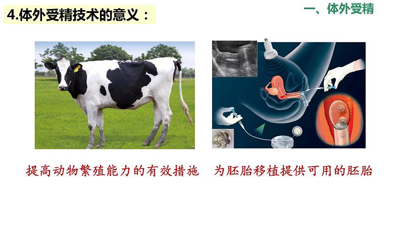 选修3 2.3.2胚胎工程技术及其应用课件（30张PPT）08