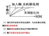 5.1.2降低化学反应活化能的酶-酶的特性（29张PPT）