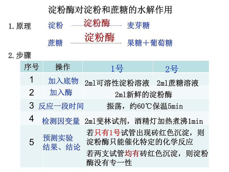 5.1.2降低化学反应活化能的酶-酶的特性（29张PPT）05