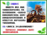 选修2 3.3生态系统的物质循环课件（40张PPT）