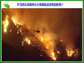 选修2 3.3生态系统的物质循环课件（40张PPT）