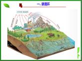 选修2 3.3生态系统的物质循环课件（40张PPT）