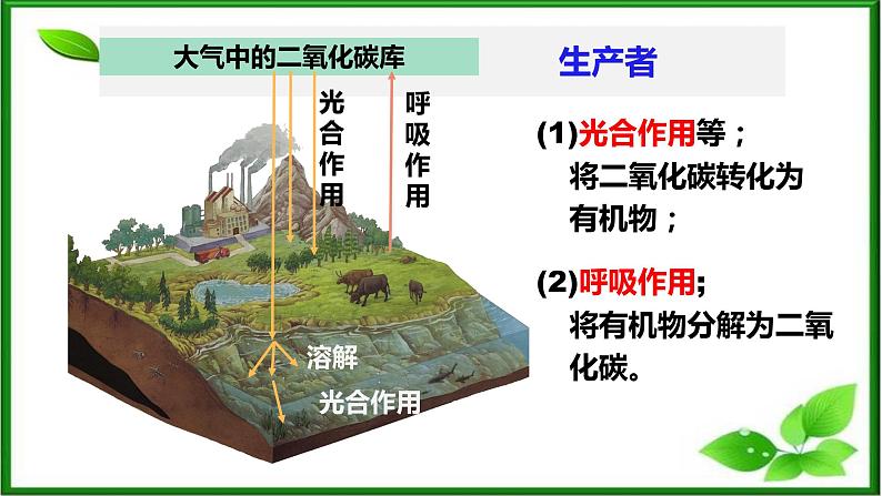 选修2 3.3生态系统的物质循环课件（40张PPT）第8页