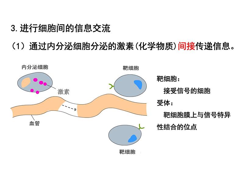 3.1 细胞膜的结构和功能课件（30张PPT）第6页