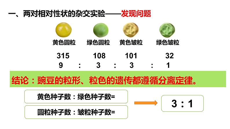 1.2.1孟德尔的豌豆杂交实验（二）（24张PPT）04