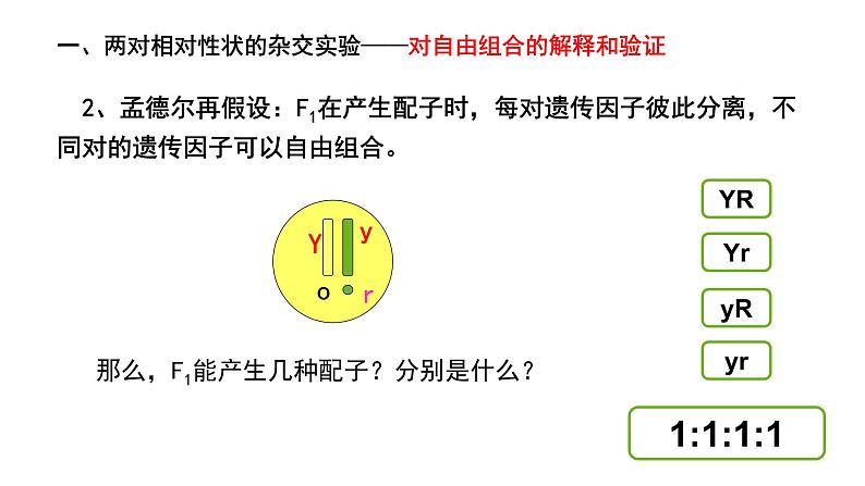 1.2.1孟德尔的豌豆杂交实验（二）（24张PPT）07