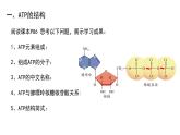 5.2细胞的能量“货币”ATP课件（16张PPT）