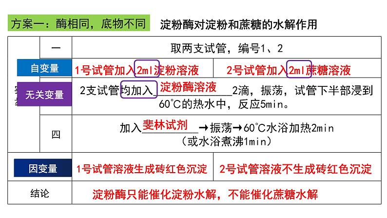 5.1.2 酶的特性课件（23张PPT）08