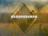 必修1 2.5 核酸是遗传信息的携带者课件（22张PPT）